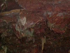 Photo /users/aendr/whiterabbit/1036