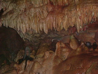 Photo /users/aendr/whiterabbit/1038