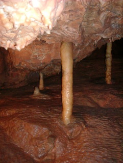 Photo /users/aendr/whiterabbit/1039