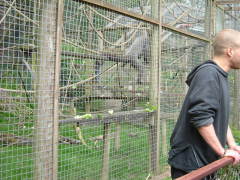 Photo /users/aendr/whiterabbit/106