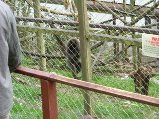 Photo /users/aendr/whiterabbit/108