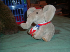 Photo /users/aendr/whiterabbit/1083