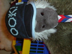 Photo /users/aendr/whiterabbit/1084