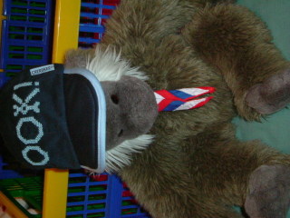 Photo /users/aendr/whiterabbit/1085