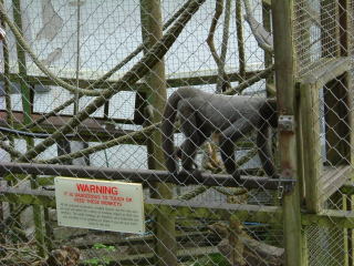 Photo /users/aendr/whiterabbit/109