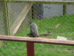 Photo /users/aendr/whiterabbit/110