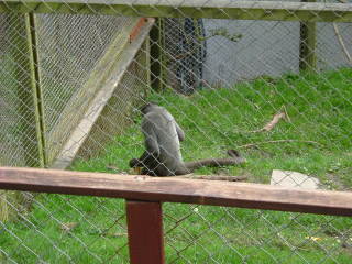 Photo /users/aendr/whiterabbit/110