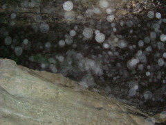 Photo /users/aendr/whiterabbit/1103