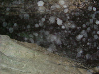 Photo /users/aendr/whiterabbit/1103