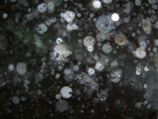 Photo /users/aendr/whiterabbit/1106