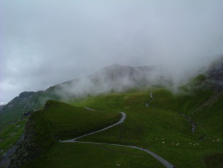 Photo /users/aendr/whiterabbit/1116