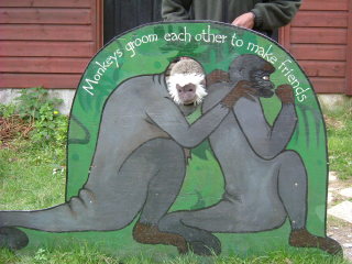 Photo /users/aendr/whiterabbit/113