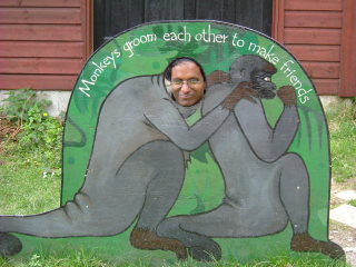 Photo /users/aendr/whiterabbit/114