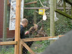 Photo /users/aendr/whiterabbit/115