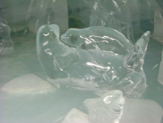 Photo /users/aendr/whiterabbit/1153