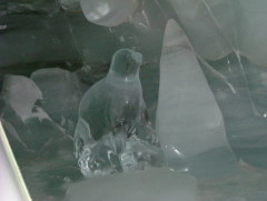 Photo /users/aendr/whiterabbit/1154