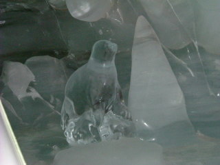 Photo /users/aendr/whiterabbit/1154