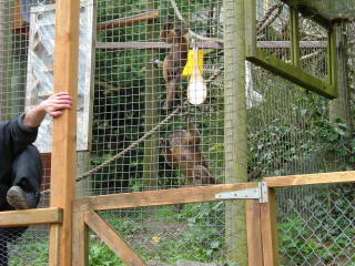 Photo /users/aendr/whiterabbit/116