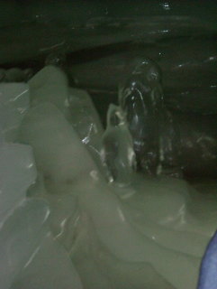 Photo /users/aendr/whiterabbit/1165