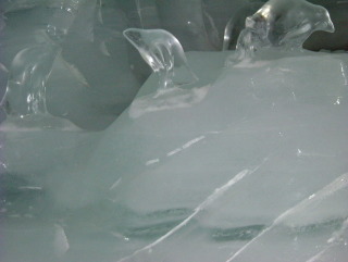 Photo /users/aendr/whiterabbit/1166