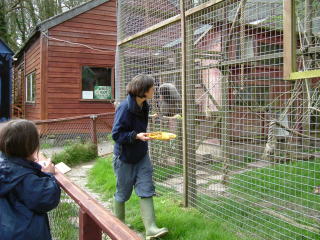 Photo /users/aendr/whiterabbit/117