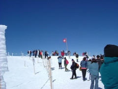 Photo /users/aendr/whiterabbit/1173