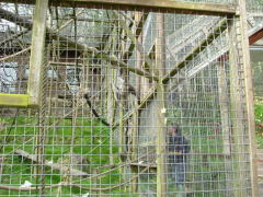 Photo /users/aendr/whiterabbit/118