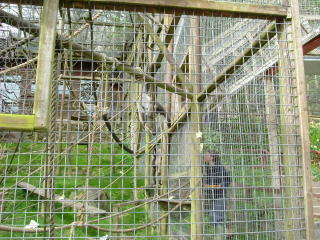 Photo /users/aendr/whiterabbit/118