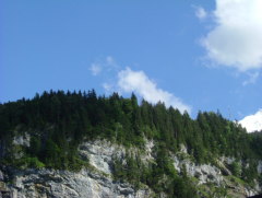 Photo /users/aendr/whiterabbit/1182