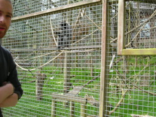 Photo /users/aendr/whiterabbit/119