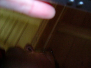 Photo /users/aendr/whiterabbit/1194