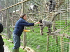 Photo /users/aendr/whiterabbit/120