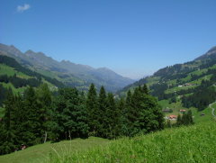 Photo /users/aendr/whiterabbit/1207