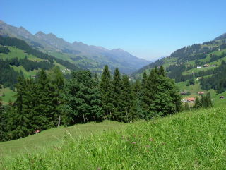 Photo /users/aendr/whiterabbit/1208