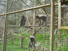 Photo /users/aendr/whiterabbit/121