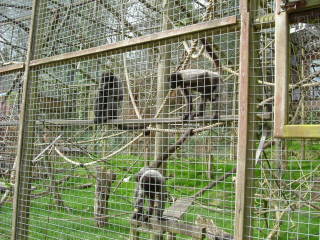 Photo /users/aendr/whiterabbit/121