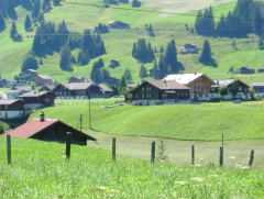 Photo /users/aendr/whiterabbit/1211