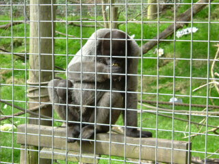 Photo /users/aendr/whiterabbit/123