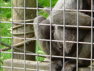 Photo /users/aendr/whiterabbit/124