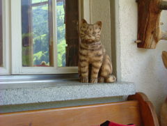 Photo /users/aendr/whiterabbit/1243