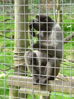 Photo /users/aendr/whiterabbit/125