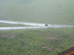 Photo /users/aendr/whiterabbit/1252