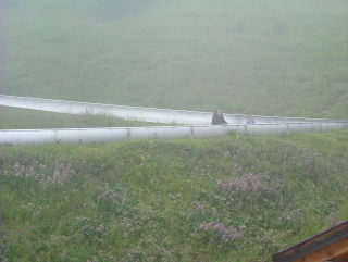 Photo /users/aendr/whiterabbit/1252