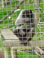 Photo /users/aendr/whiterabbit/126