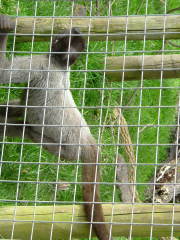 Photo /users/aendr/whiterabbit/127