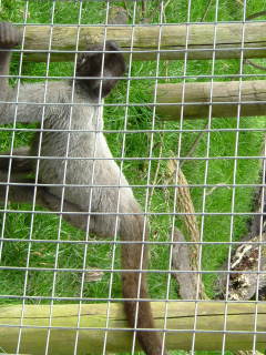 Photo /users/aendr/whiterabbit/127