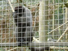 Photo /users/aendr/whiterabbit/128