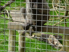 Photo /users/aendr/whiterabbit/129