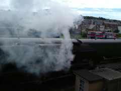 Photo /users/aendr/whiterabbit/1300