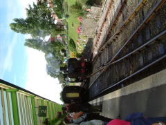 Photo /users/aendr/whiterabbit/1304